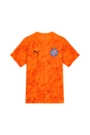 Camisa Goleiro 1 2026 Bahia Masculina Puma