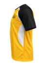 Camisa Treino Goleiro Criciúma Masculino Volt