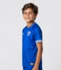 Camisa Jogo 3 2026 Avaí Infanto Juvenil Volt