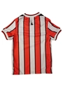 Camisa Jogo 3 2024 Botafogo Infanto Juvenil Volt