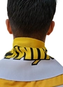 Cachecol Criciúma Esporte Clube
