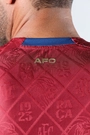 Camisa Plus Goleiro 1 2025 Avaí Masculina  Bordo Volt