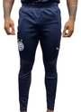 Calça Treino Atleta 2025 Esporte Clube Bahia Puma Azul