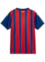 Camisa Jogador 2 2025 Esporte Clube Bahia Puma Tricolor Masculina