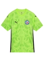 Camisa Goleiro 3 2025 Esporte Clube Bahia Puma Masculino
