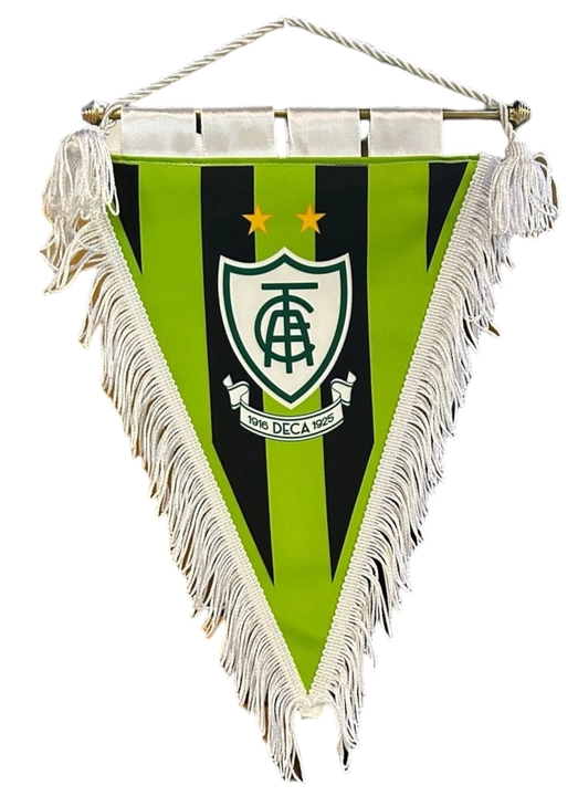 Flâmula Triangular América Futebol Clube