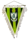 Flâmula Triangular América Futebol Clube