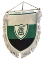 Flâmula Oficial América Futebol Clube