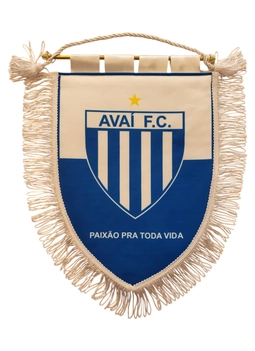 Flâmula Avaí futebol Clube