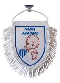 Flâmula Menino Avaí Futebol Clube