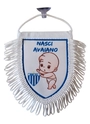 Flâmula Menino Avaí Futebol Clube