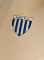 Blusão Treino Comissão Técnica Avaí Masculino Branco Volt